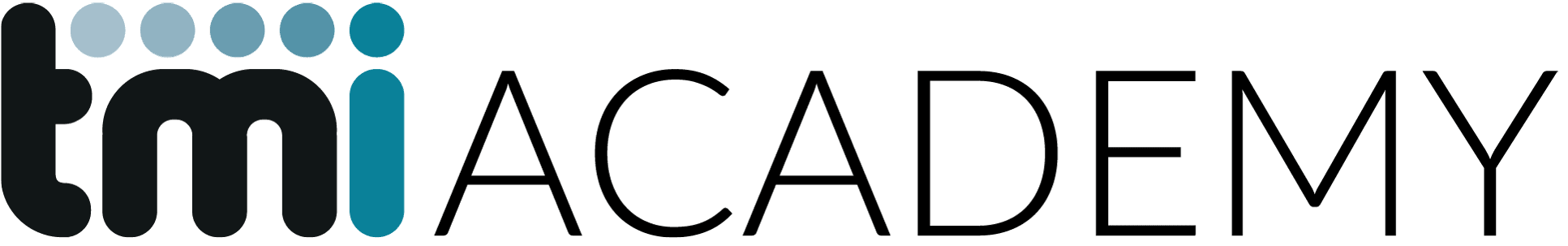 TMI Academy Logo